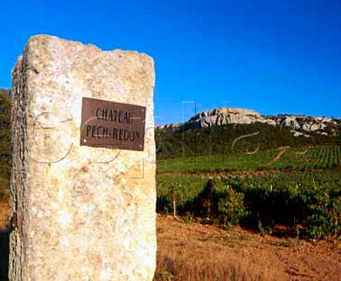 Entrance pillar and vineyard of Chteau Pech Redon   below the highest point of Montagne de la Clape near   Narbonne Aude France        Coteaux du Languedoc la Clape