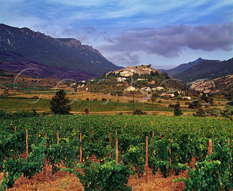 Cucugnan village viewed over vineyard Aude France Corbires