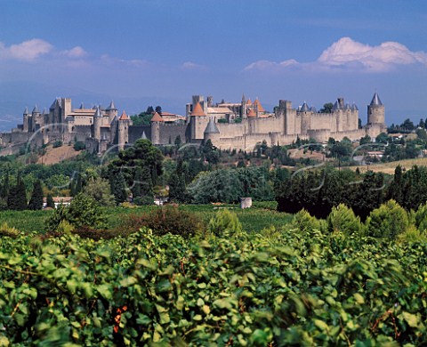View over vineyards to La Cit the old town of   Carcassonne Aude France   AC Malepre
