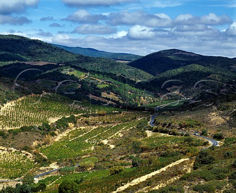 D611 road to DurbanCorbires running through the   vineyards north of Tuchan Aude France    Fitou  Corbires