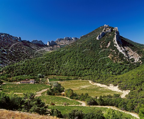 Vineyards of Domaine de Cassan high on the the Dentelles de Montmirail above Lafare Vaucluse France   Gigondas  BeaumesdeVenise  Ctes du RhneVillages