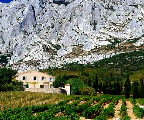 Domaine de SaintSer below Montagne SteVictoire   Puyloubier BouchesduRhne France  Ctes de Provence