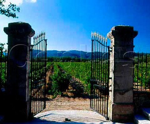 View over Cabernet Sauvignon vineyard from the gates   of Chteau des Chaberts Garoult Var   France     Coteaux Varois