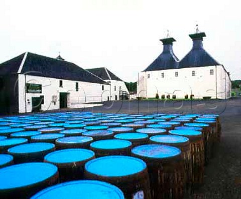 Oak casks at Ardbeg whisky distillery   Ardbeg Isle of Islay Scotland