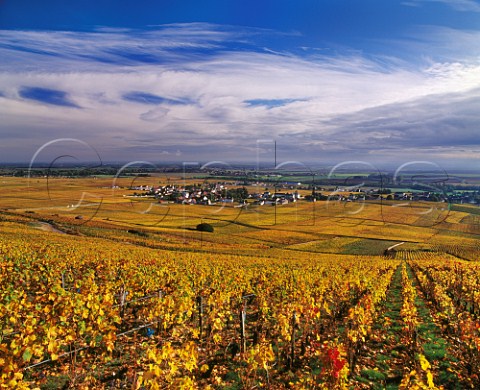 View eastwards over VosneRomane and its autumnal vineyards to the Sane valley Cte dOr France     Cte de Nuits
