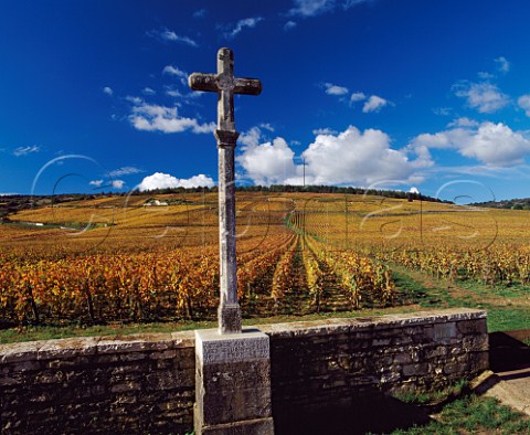The cross at the foot of RomaneConti vineyard with   Richebourg to the right   VosneRomane Cte dOr France Cte de Nuits