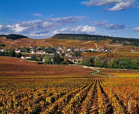 Autumnal vineyards around the village of Mercurey SaneetLoire France Cte Chalonnaise