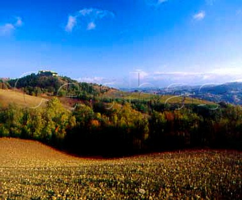 land ready for planting at Castello di Montep of Jacopo Biondi Santi Near Scansano Grosseto Province Tuscany ItalyMorellino di Scansano  southern Maremma