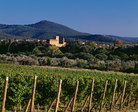 View over Cabernet Franc vineyard of Tenuta dellOrnellaia to the walled village of Bolgheri Tuscany Italy   Bolgheri