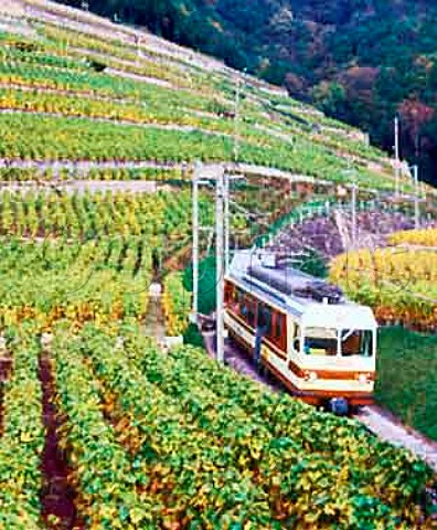 Train to Leysin on railway line through vineyards   at Aigle Vaud Switzerland    Chablais