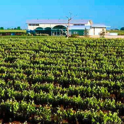 Majella vineyard and winery   Coonawarra South Australia