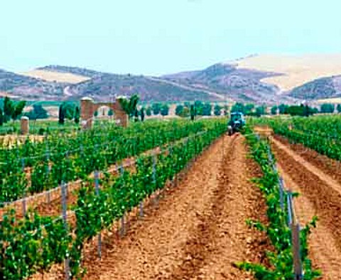 Harrowing between the rows in vineyard of Barn de Ley La Rioja Spain Rioja Baja