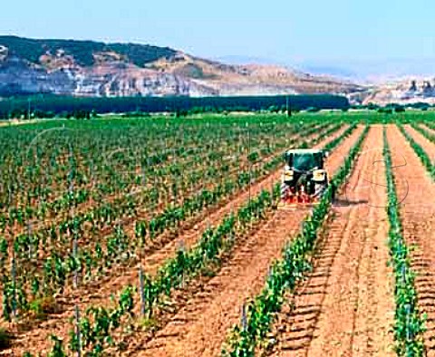 Harrowing between the rows in vineyard of Barn de   Ley La Rioja Spain Rioja Baja