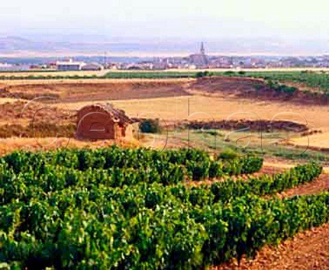 Adobe hut in vineyard near Mendavia La Rioja   Spain Rioja Baja