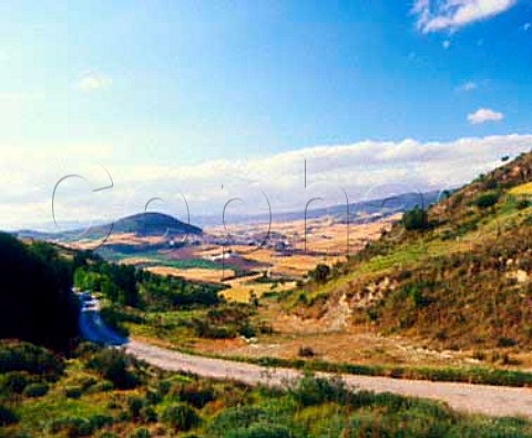 Road leading down to Bodegas Nekeas and the village   of Aorbe Navarra Spain     Navarra