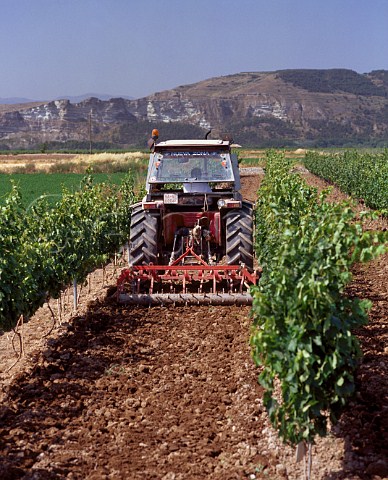 Harrowing between the rows in vineyard near  Mendavia La Rioja Spain    Rioja Baja