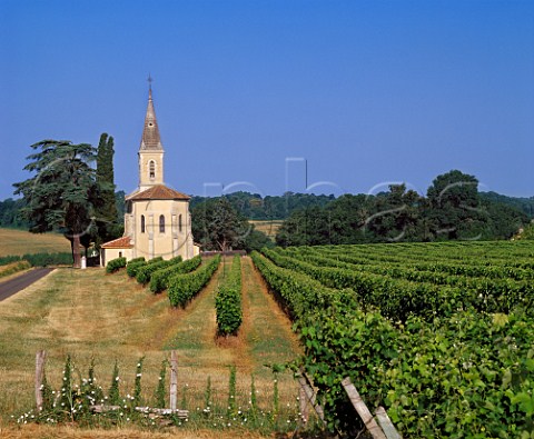 Church and vineyard at Maignan Gers France Ctes de Gascogne  Armagnac