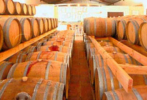 Barrel cellar of Nitilda Estate   Durbanville South Africa