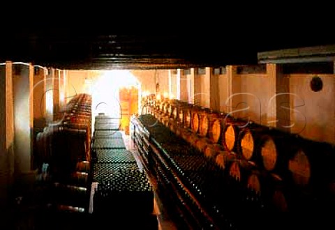 Barrel and bottle cellar of Le Riche   Wines Jonkershoek South Africa   Stellenbosch