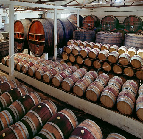Barrel cellar of Humberto Canale General Roca Argentina  Rio Negro