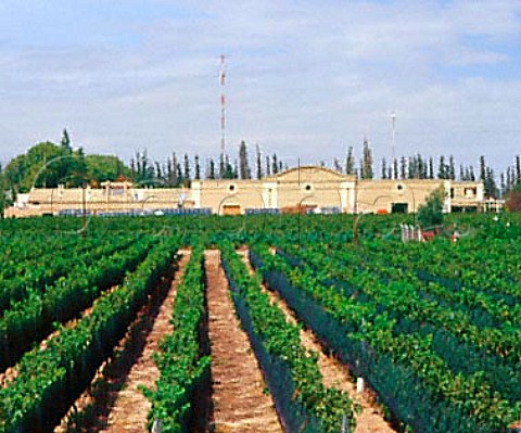 Bodega Norton viewed over vineyard   Perdriel Argentina    Lujan de Cuyo