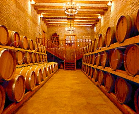Barrel cellar of Santa Laura Santa Cruz Chile  Colchagua Valley  Rapel