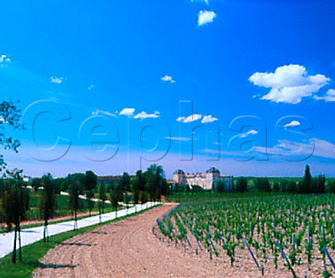 Chteau CalonSgur and its vineyard StEstphe    Gironde France    Bordeaux  HautMdoc