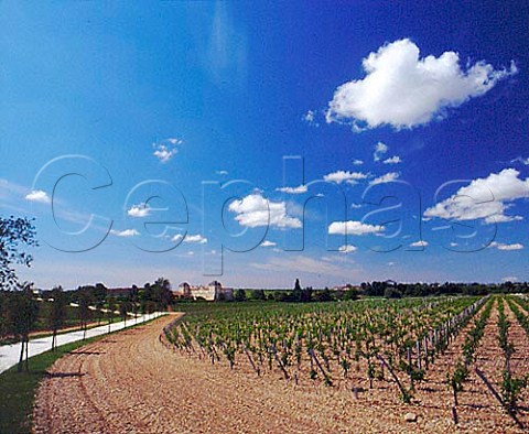 Chteau CalonSgur and its vineyard StEstphe    Gironde France    Bordeaux  HautMdoc