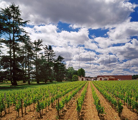 Chteau Ferrande and its vineyard Portets Gironde   France     Graves  Bordeaux