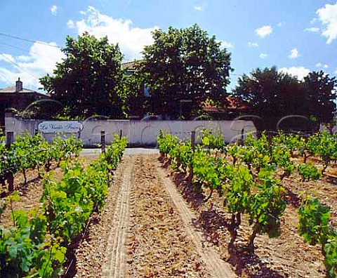 Vineyard of Chteau La Vieille France Portets   Gironde France         Graves  Bordeaux