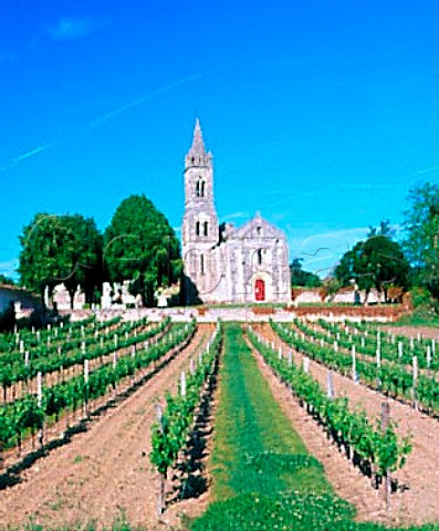 Vineyard by the church at Loupiac Gironde France   Loupiac  Bordeaux