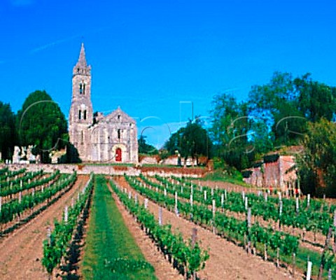 Vineyard by the church at Loupiac Gironde France   Loupiac  Bordeaux