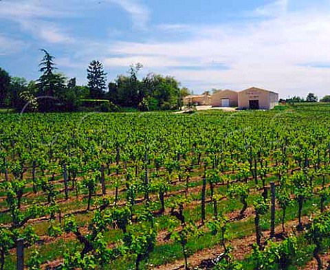 Chteau Tour de Grenet and its vineyard Lussac   Gironde France   LussacStmilion  Bordeaux