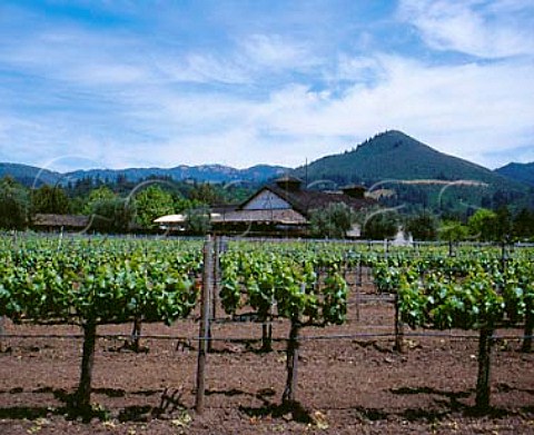 Landmark Chardonnay vineyard with the winery beyond   Kenwood Sonoma Co California     Sonoma Valley