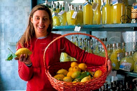 Alessandra with basket of Amalfi lemons  for making Liquore al Limone in the  Profumi della Costiera Ravello   Campania Italy