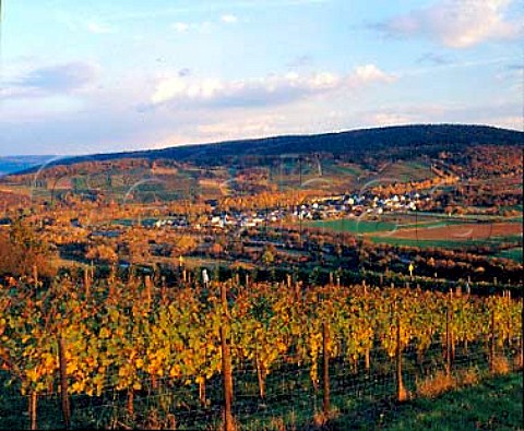 Landskrone einzellage with Kapellenberg einzellage   and Ehlingen in the distance Ahr valley Germany   Ahr