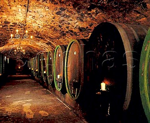Oak barrels in the cellars of Weingut Johannishof   Johannisberg Germany    Rheingau
