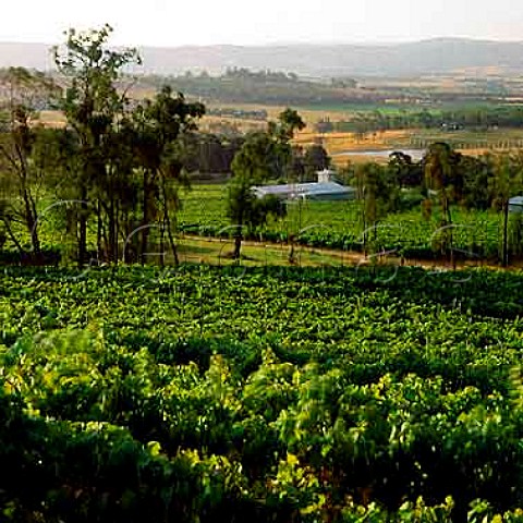 Yarra Yering vineyard and winery Coldstream   Victoria Australia         Yarra Valley