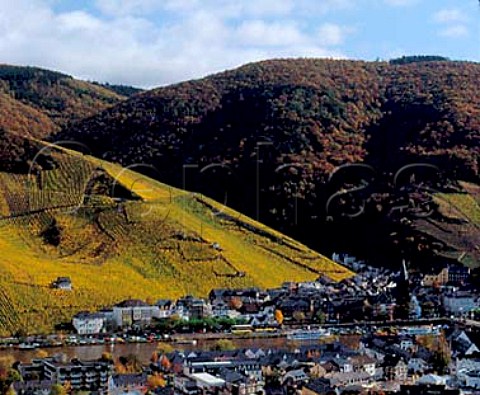 Steep slopes of the Graben and Doctor vineyards   overlooking BernkastelKues  Germany    Mosel
