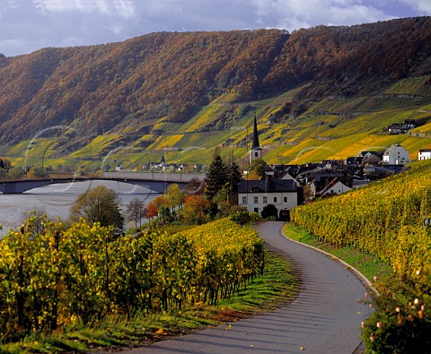 St Michaels church in Piesport village surrounded by the Goldtrpfchen vineyard Germany    Mosel