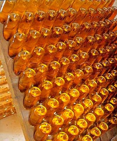 Bottles of Sekt in the cellars of Sekthaus Solter   Rdesheim Germany    Rheingau