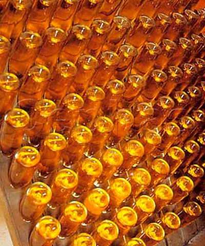 Bottles of Sekt in the cellars of Sekthaus Solter   Rdesheim Germany    Rheingau