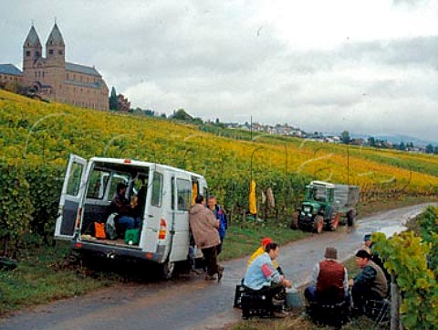 Polish pickers taking their lunch break in the   Kirchenpfad vineyard below StHildegardis Abbey   Rdesheim Germany    Rheingau