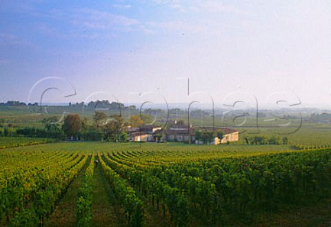 Chteau Anglus viewed from its vineyard    Stmilion Gironde France        Stmilion  Bordeaux