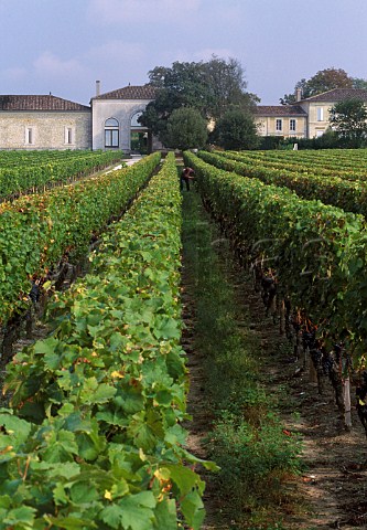 Chteau Anglus viewed from its   vineyard Stmilion Gironde France   Stmilion  Bordeaux