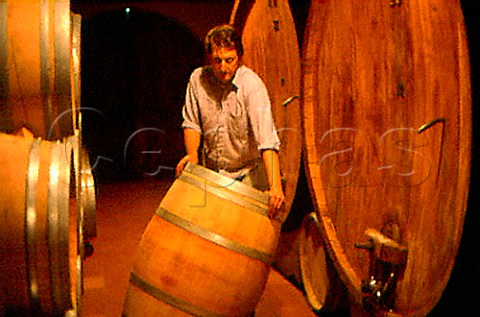 Moving barrel in the cellar of Tenute   Cisa Asinari dei Marchesi di Gresy   Barbaresco Piemonte Italy