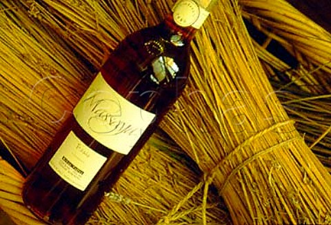 Bottle of Massaya wine made by   Tanal Property in the Bekaa Valley   Lebanon
