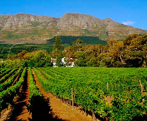 Buitenverwachting Constantia   Cape Province South Africa