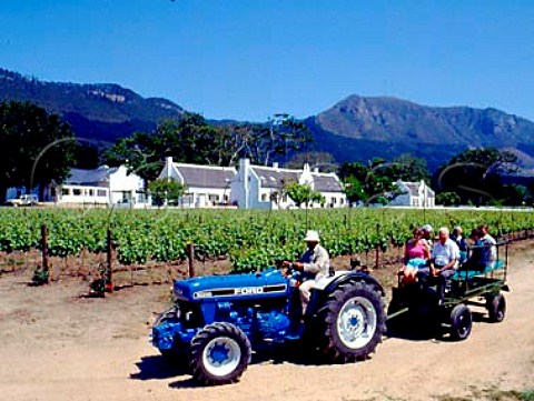 Visitors on tour of Steenberg Wine Estate   Constantia South Africa