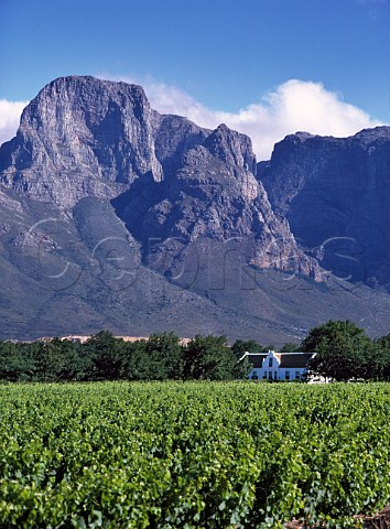 Boschendal manor house and vineyard   Franschhoek South Africa   Paarl